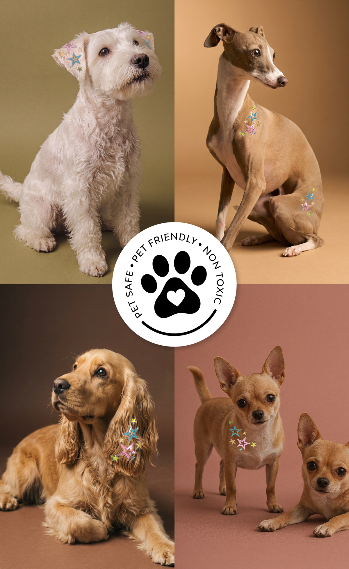 FAZIT Sprinkled Star Speckles Pet Patches for Dogs
