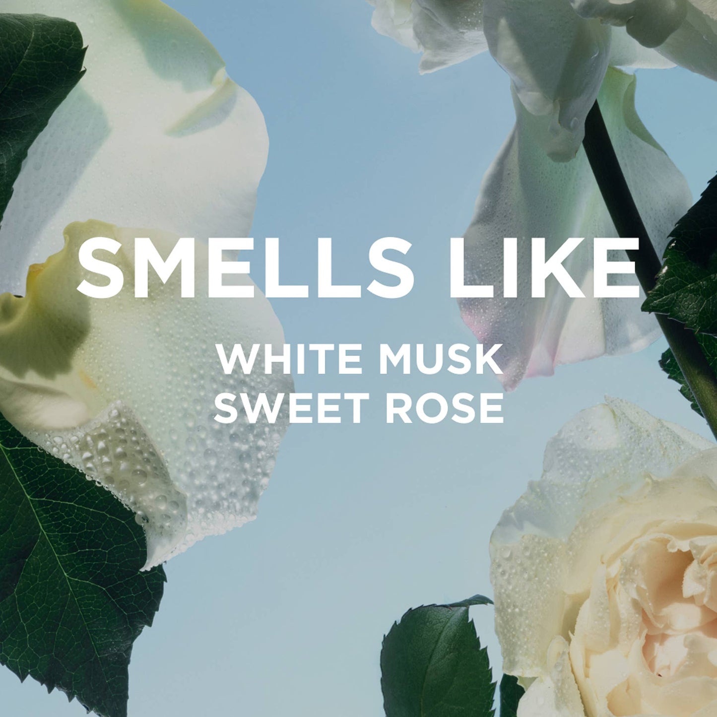 ROSIE Everyday Body Oil with white musk