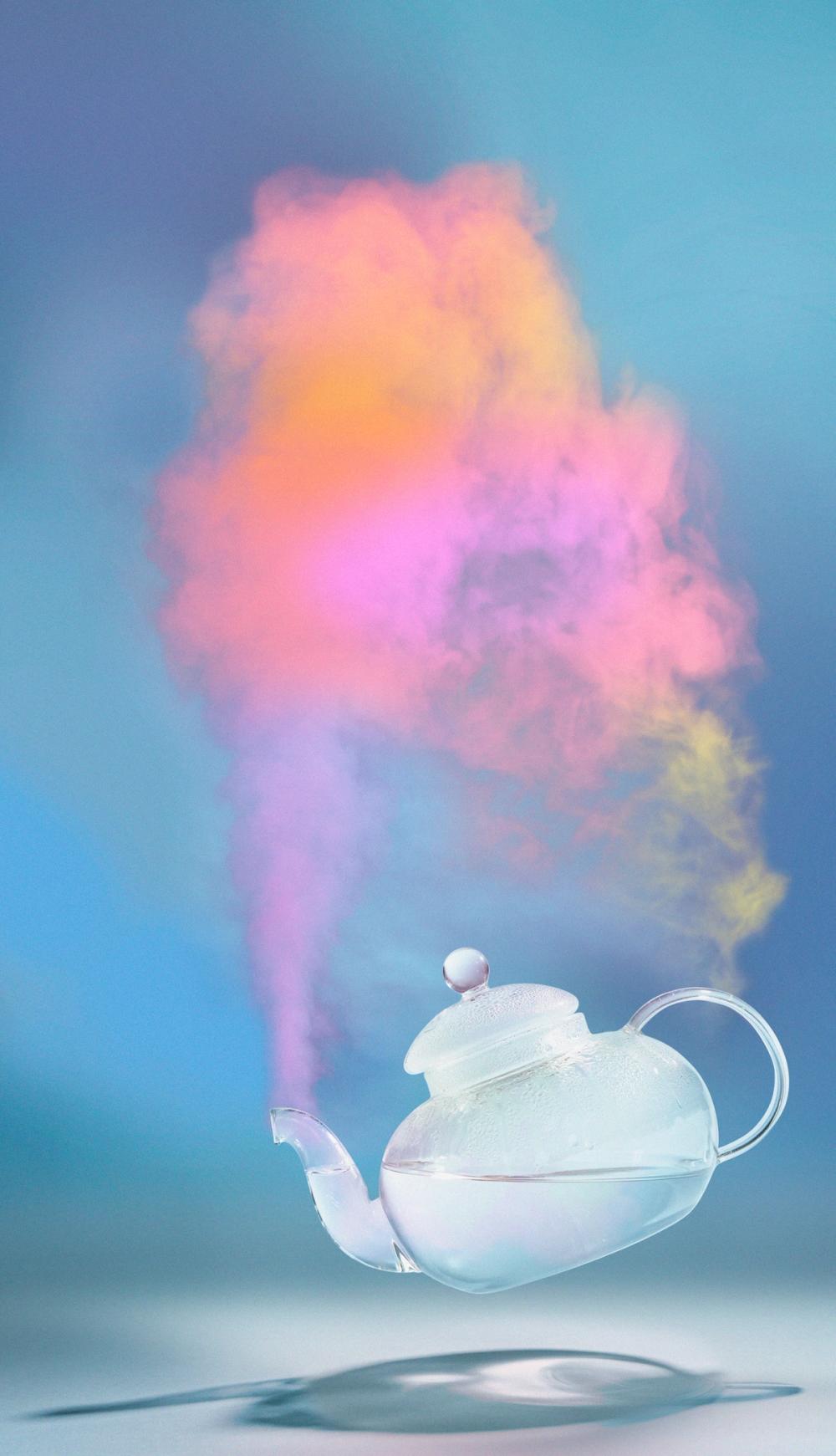 D.S. & DURGA Steamed Rainbow