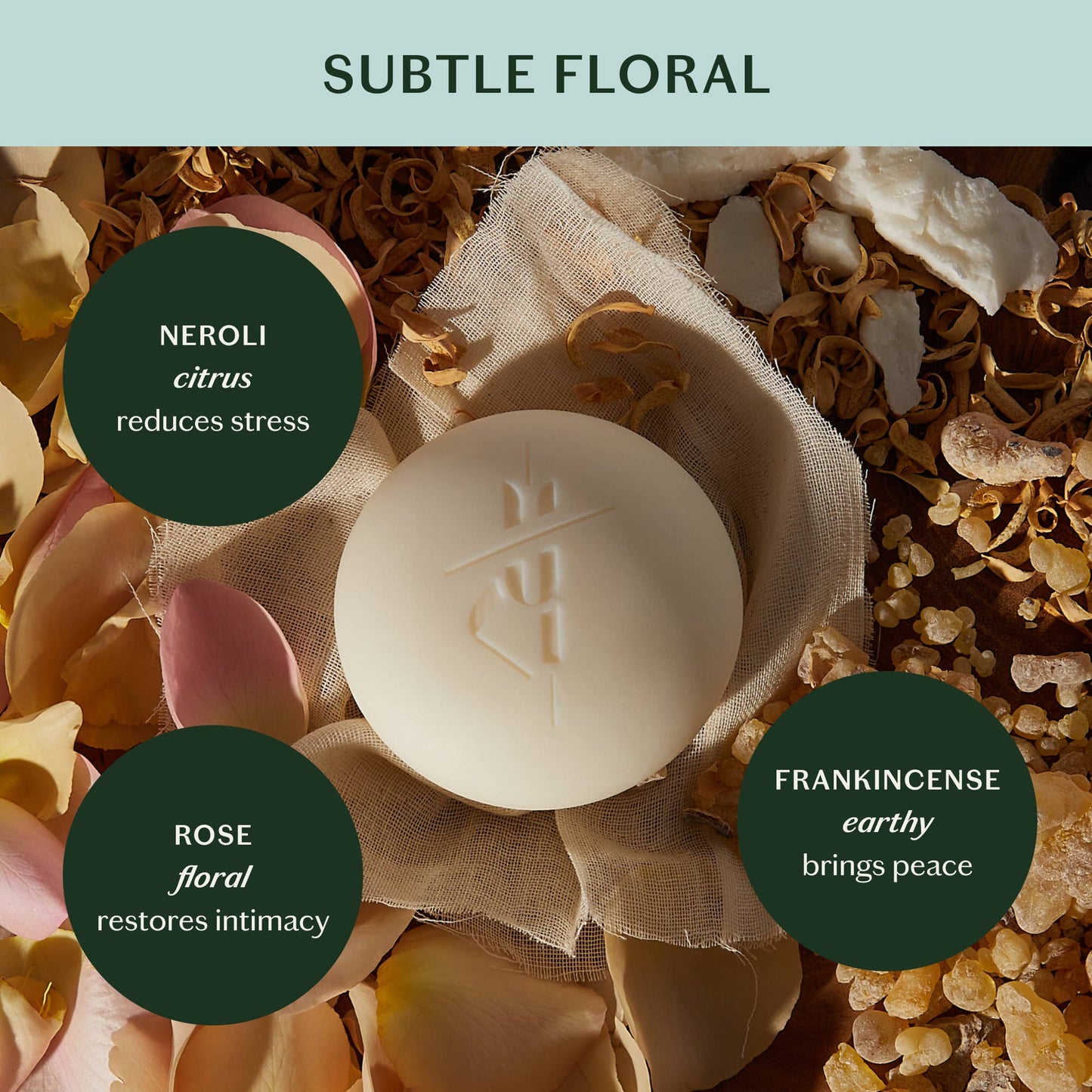 Kate McLeod Daily Stone | Deep Moisturizing Lotion Bar: Starter Kit (3.5 oz)