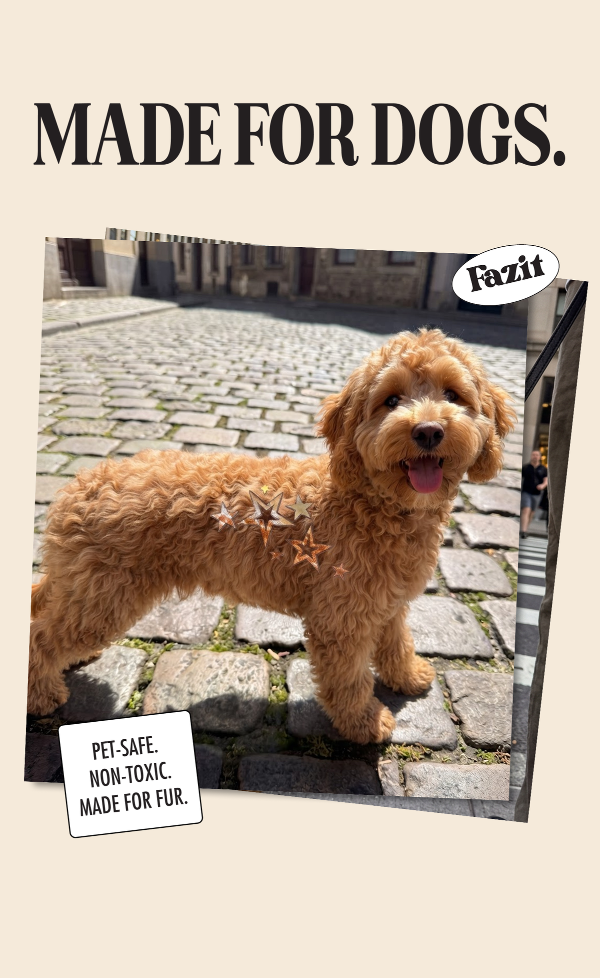 FAZIT Golden Star Speckles Pet Patches for Dogs