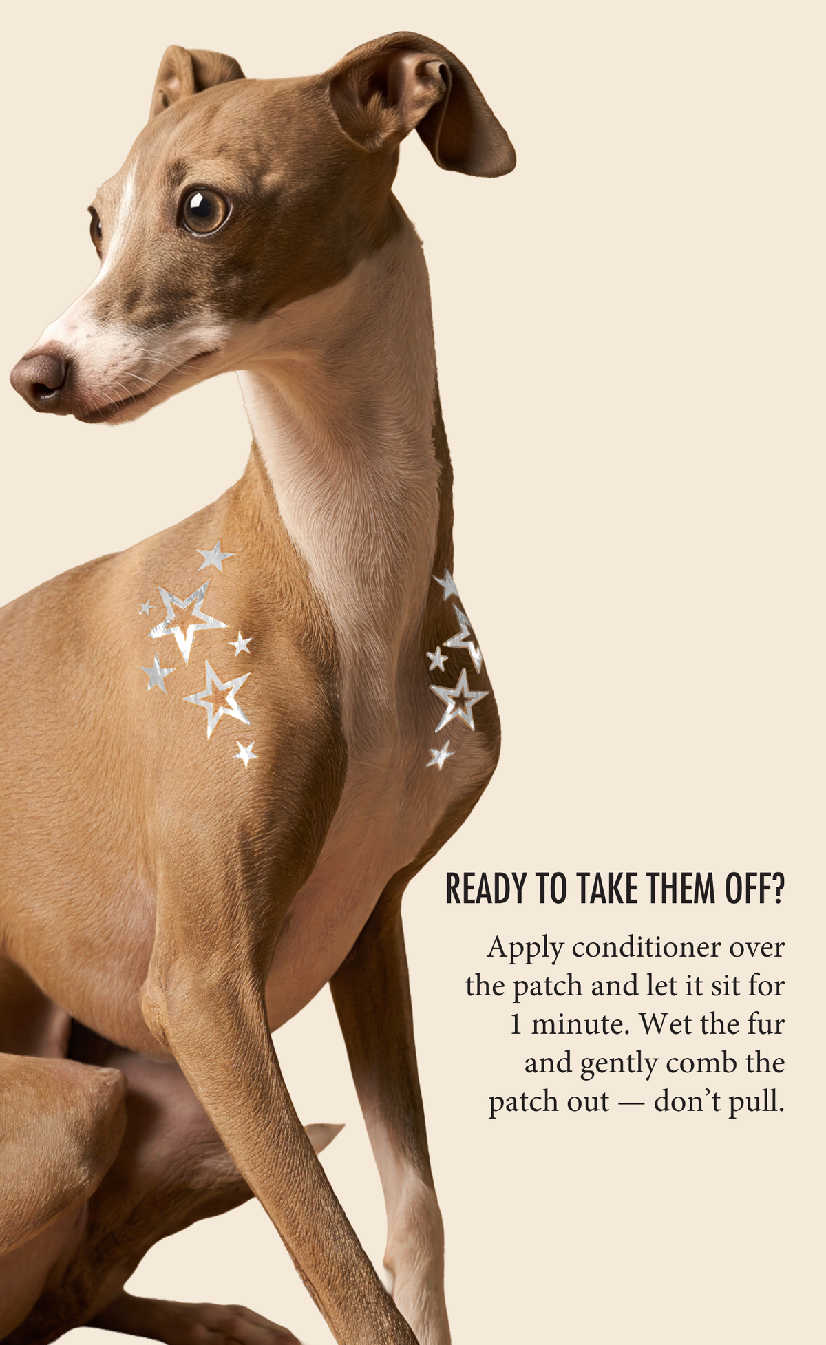 FAZIT Silver Star Speckles Pet Patches for Dogs