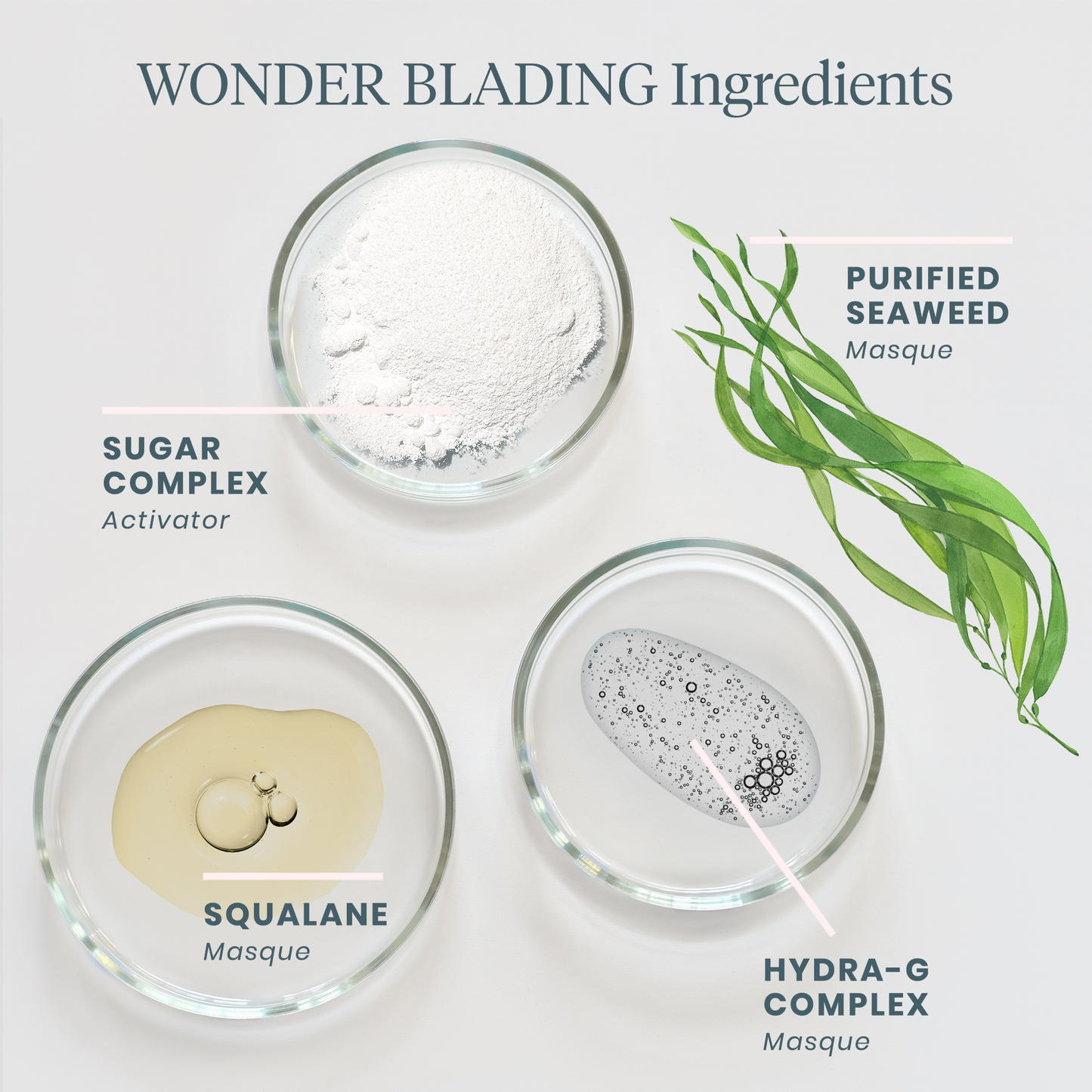 WONDER BLADING Peel & Reveal Lip Color Kit: Charming (toffee rose)