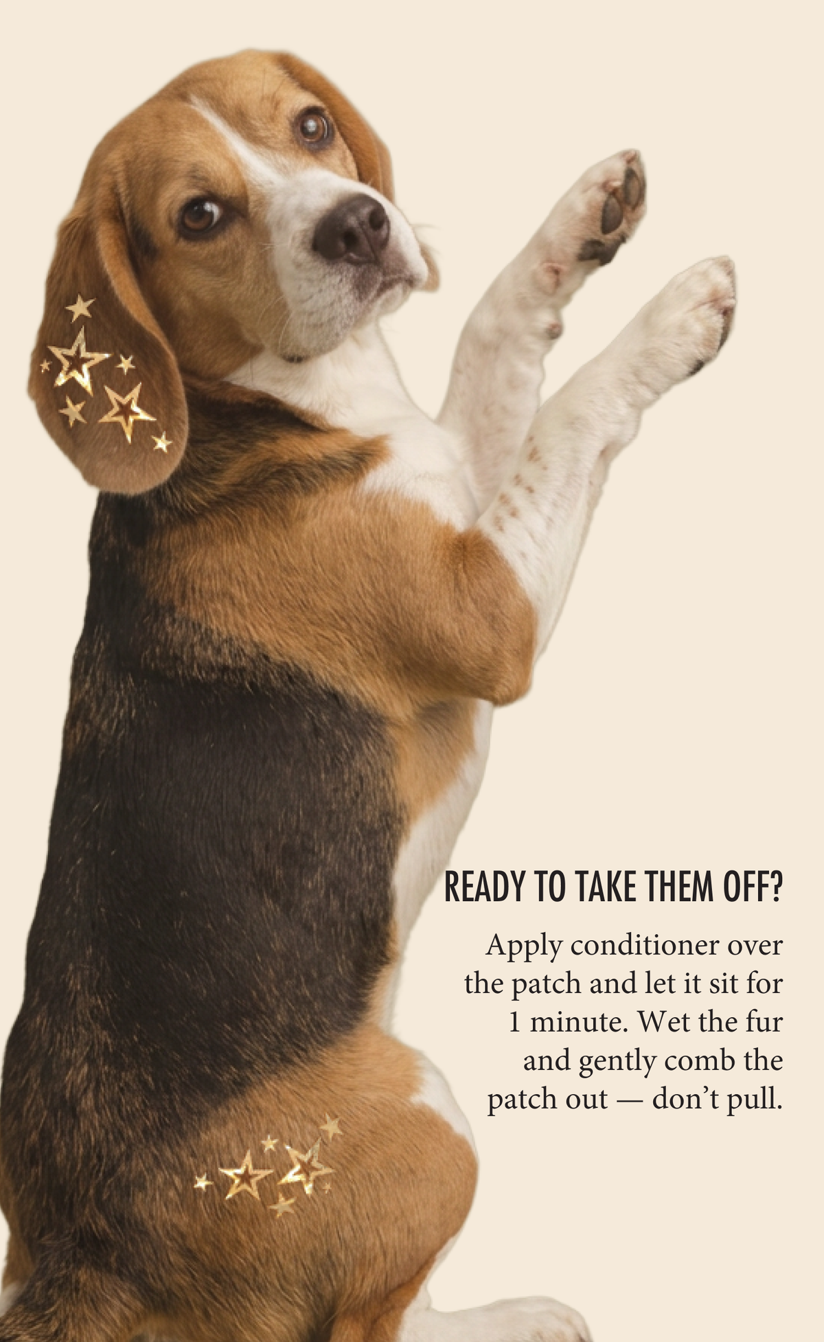 FAZIT Golden Star Speckles Pet Patches for Dogs
