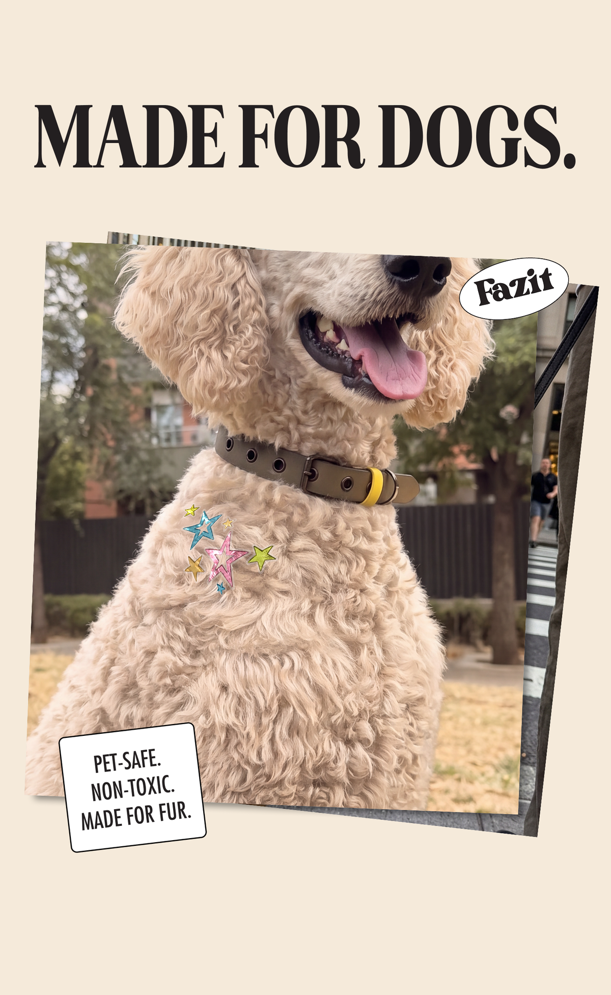 FAZIT Sprinkled Star Speckles Pet Patches for Dogs