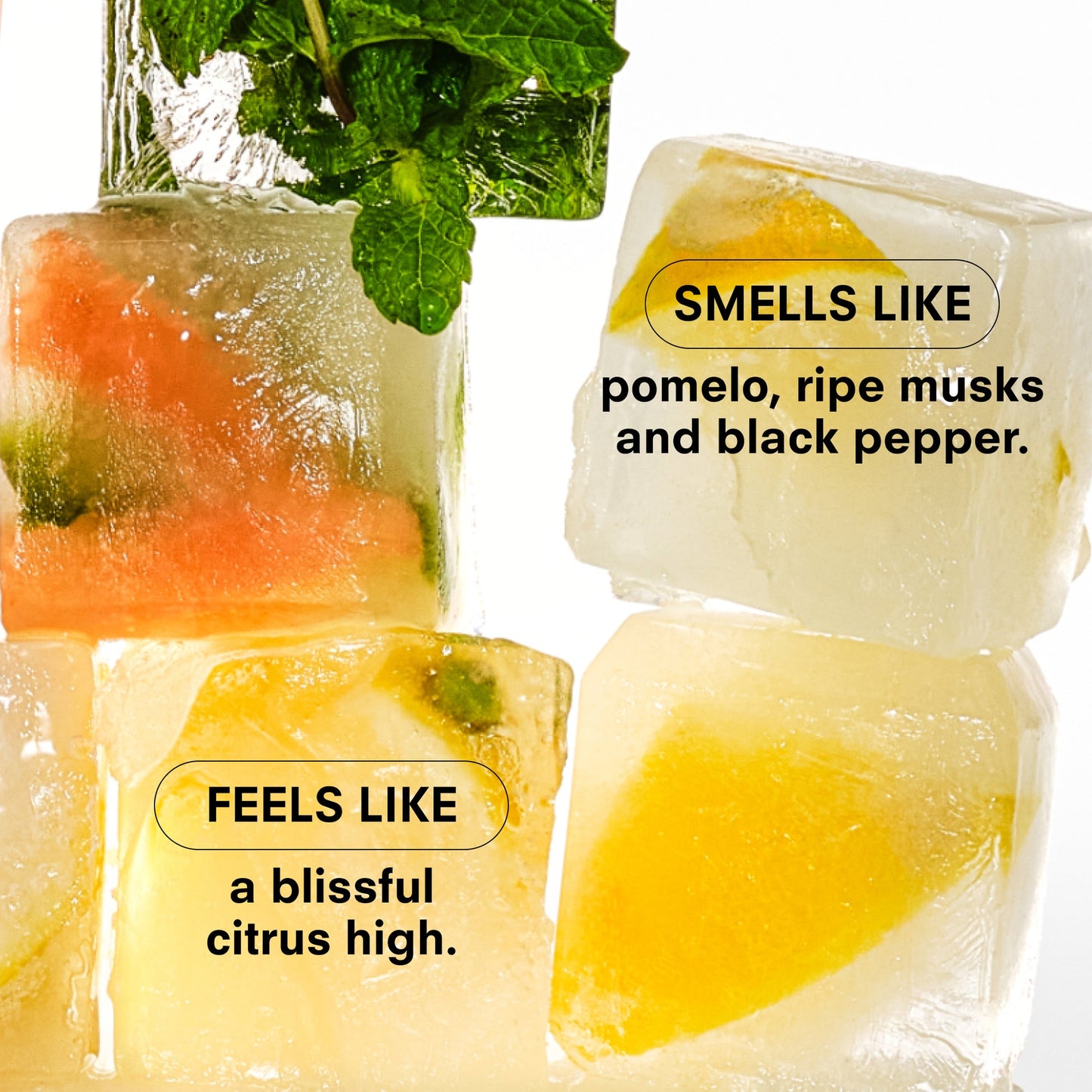 BOY SMELLS Citrush | Body Mist