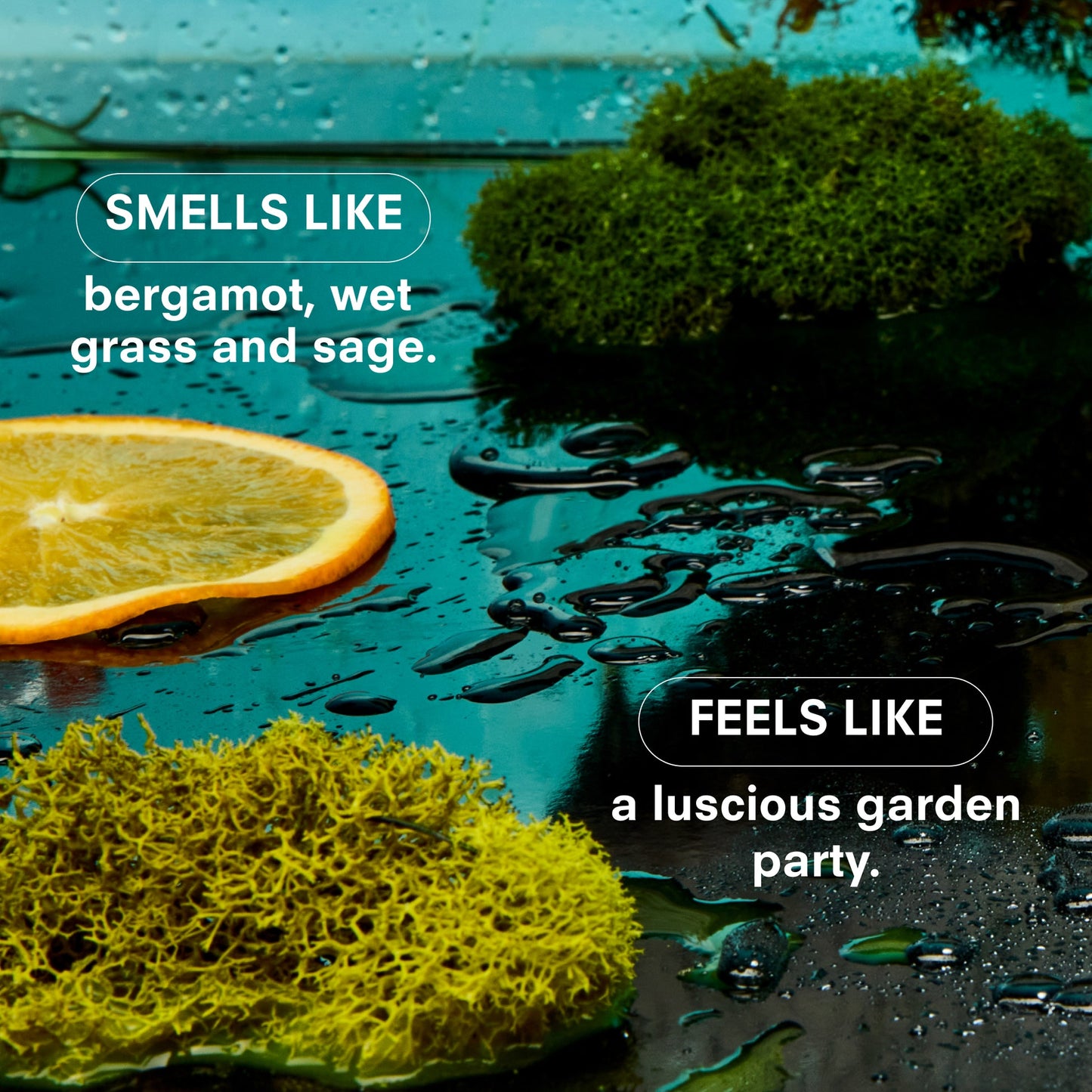 BOY SMELLS Herbaceous Candle