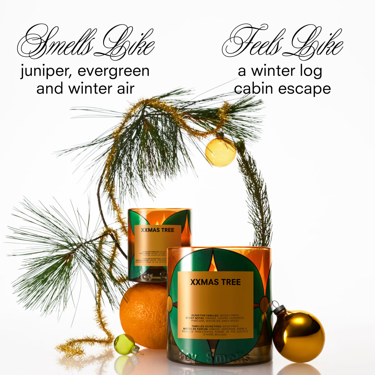 Boy Smells Xxmas Tree Candle