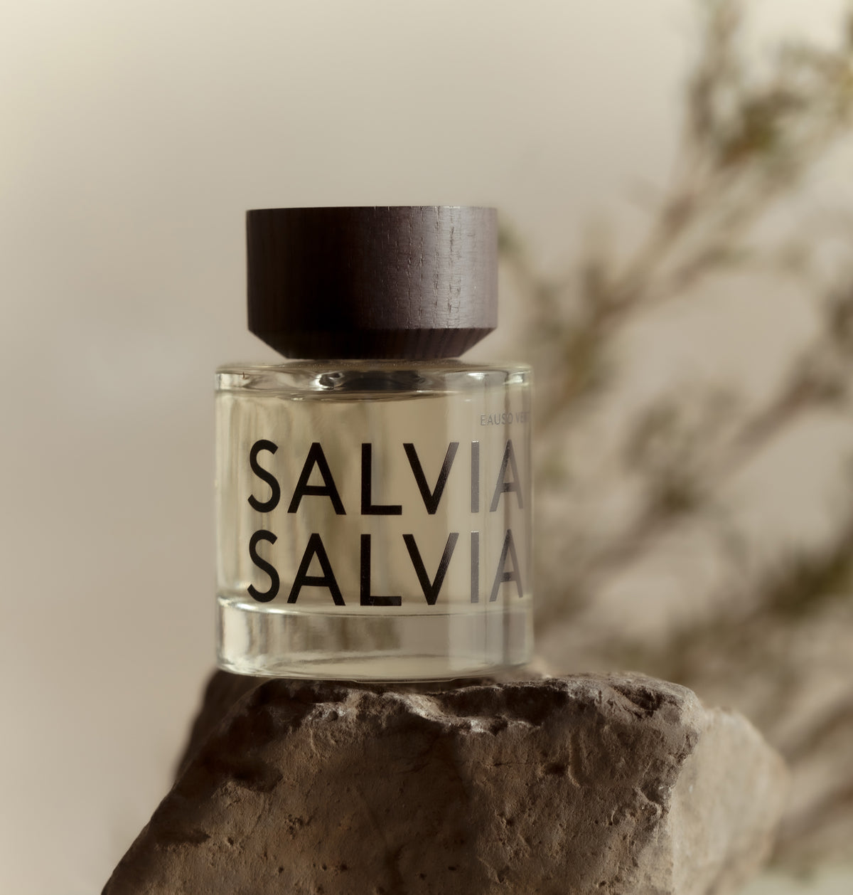 EAUSO VERT Salvia Salvia