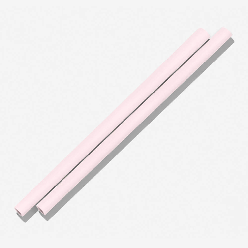 BINK Water Bottle Silicone Straws (2 pack)