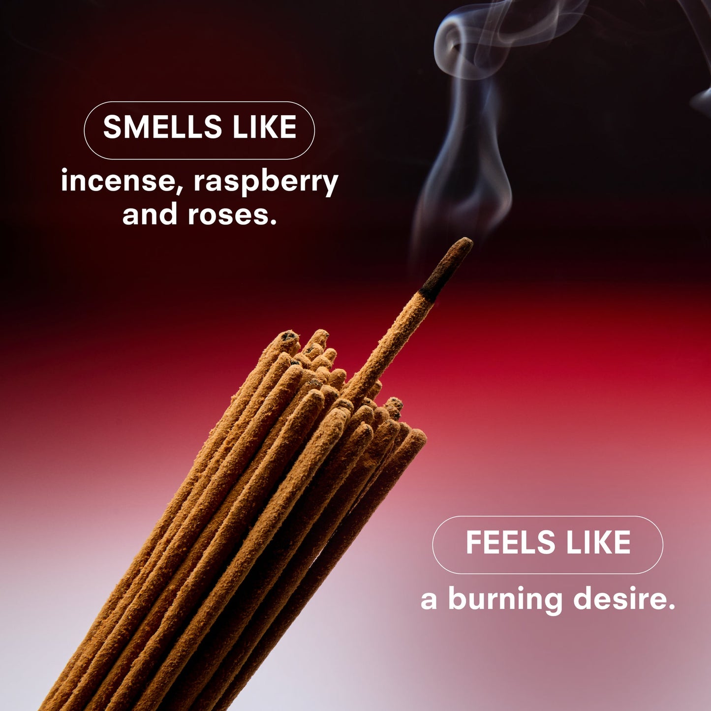 BOY SMELLS Red Hot | Perfume