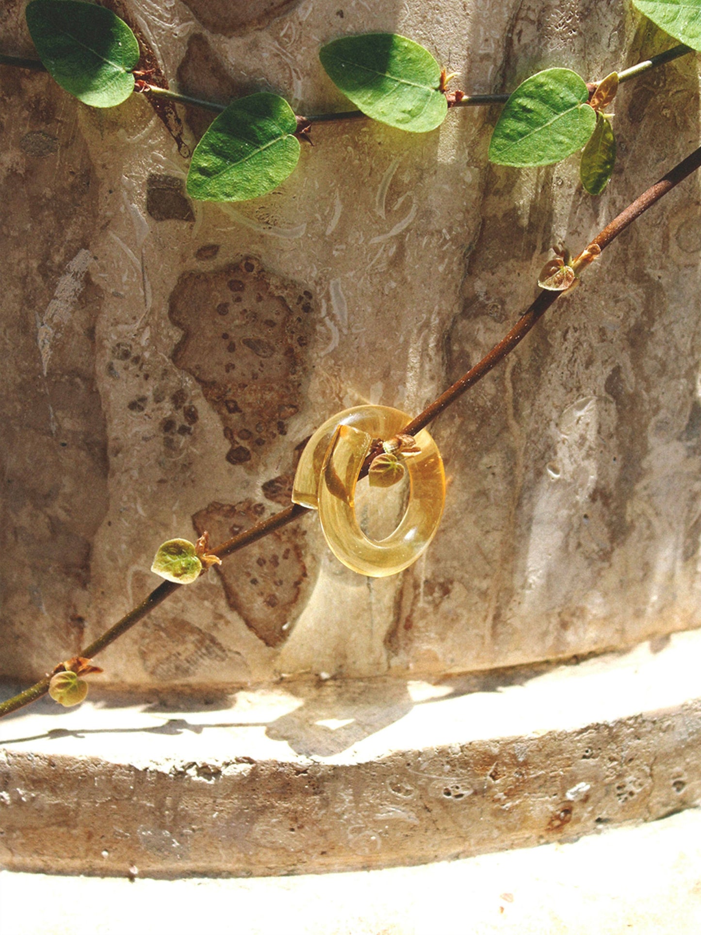 Wrap Ring: Clear / MED