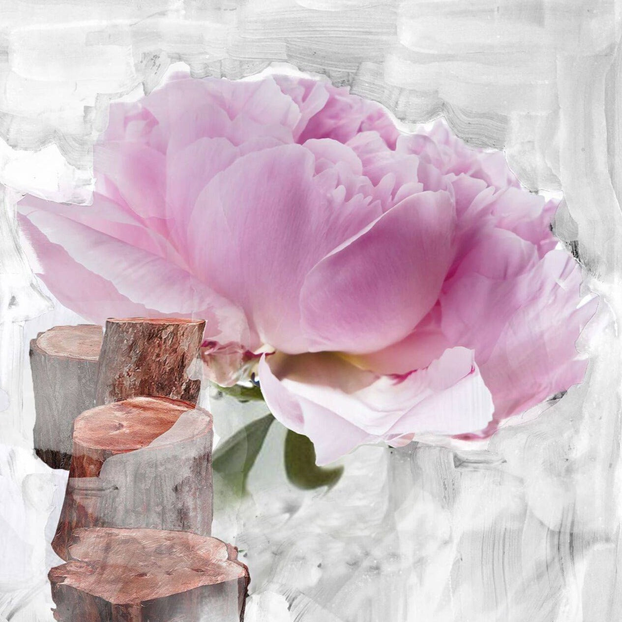 BYREDO Blanche
