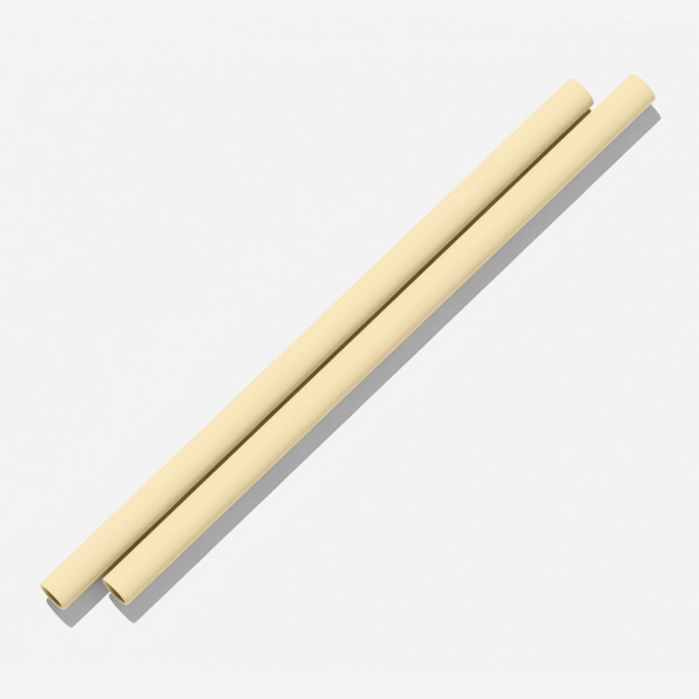 BINK Water Bottle Silicone Straws (2 pack)