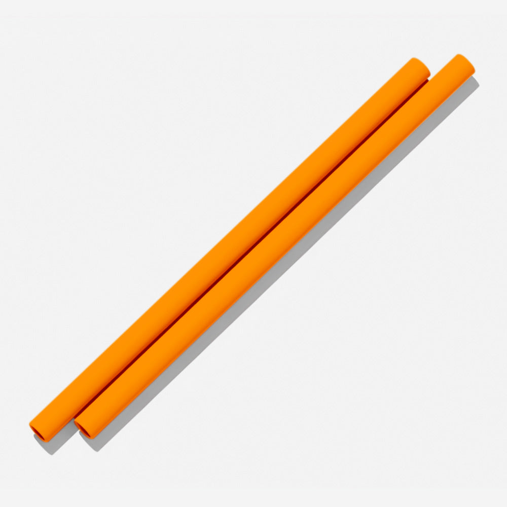 BINK Water Bottle Silicone Straws (2 pack)