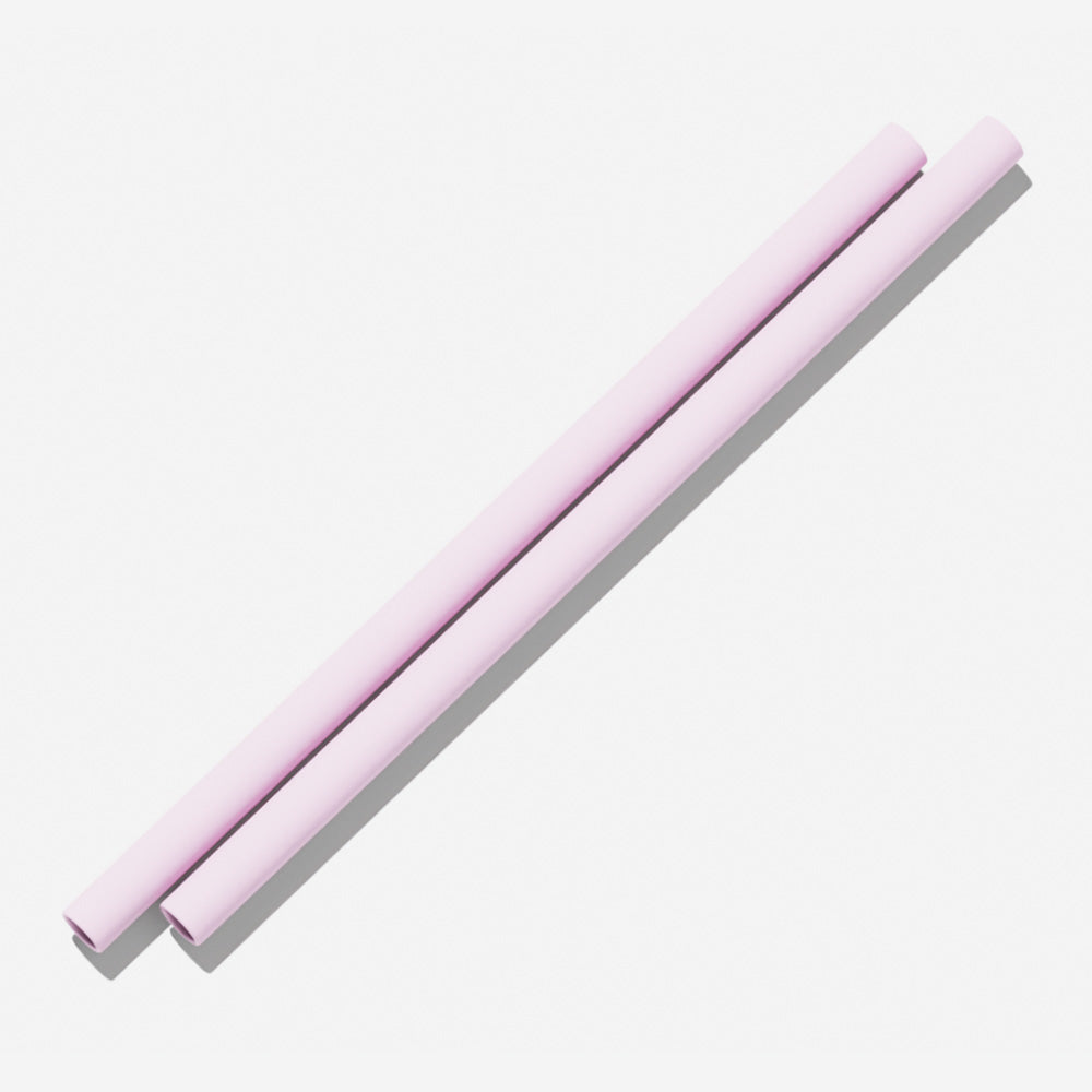 BINK Water Bottle Silicone Straws (2 pack)
