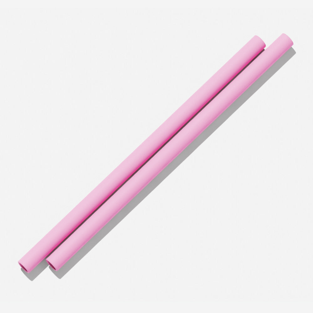 BINK Water Bottle Silicone Straws (2 pack)